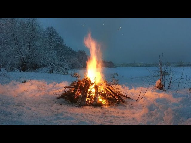 A cozy fire in winter forest  Atmosphere of fire with crackling of fire  Sounds of nature for sleep