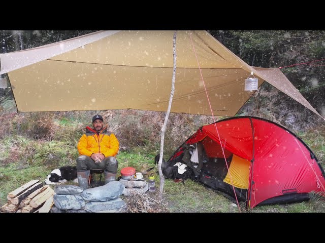 CAMPING in the RAIN and SNOW - Tent - FREEZING - Dog - ASMR