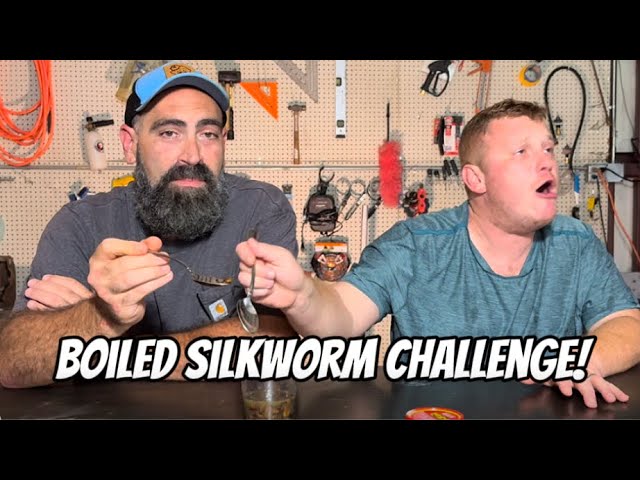 The Boiled Silkworm Challenge!! 🤢🤢🤮