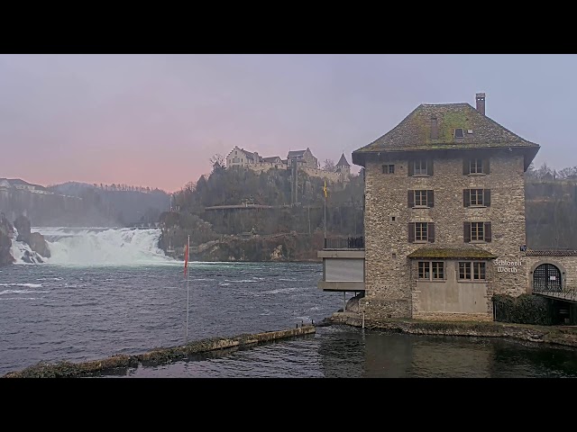 Rhine Falls live | Rheinfall live - Webcam