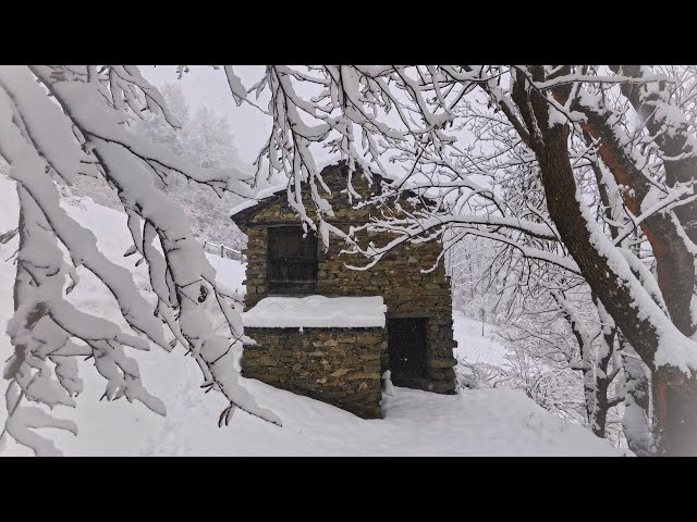 EP 72 | Alone in the Snow: Snowfall, Firewood & Off-Grid Hot Water System