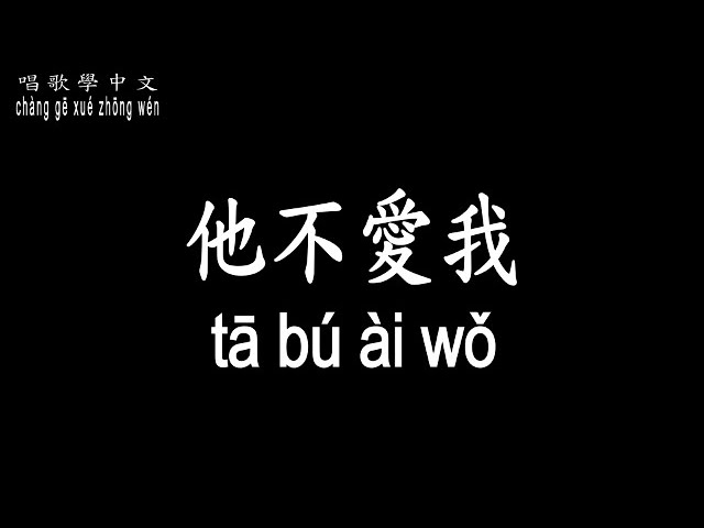 【唱歌學中文】►莫文蔚 / 他不愛我◀ ► Karen Mo / He Loves Me Not ◀『他不愛我 儘管如此 他還是贏走了我的心』【動態歌詞中文、拼音Lyrics】