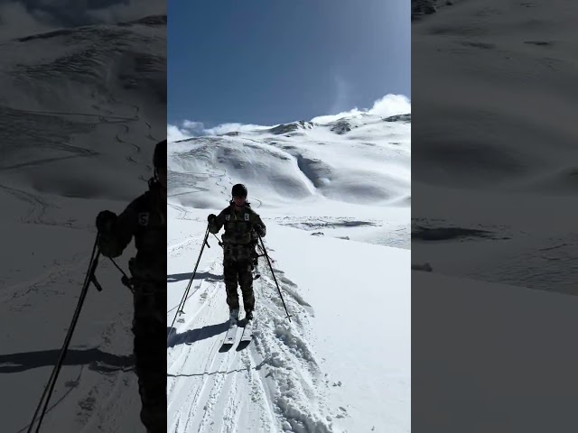 Skiing As a Team