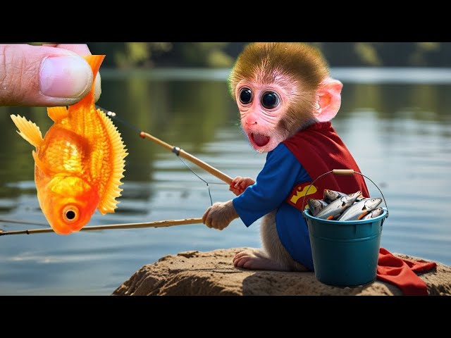 LIVE Compilation of the Funny Videos Monkey Baby Bon Bon Playing Outdoors Fishing