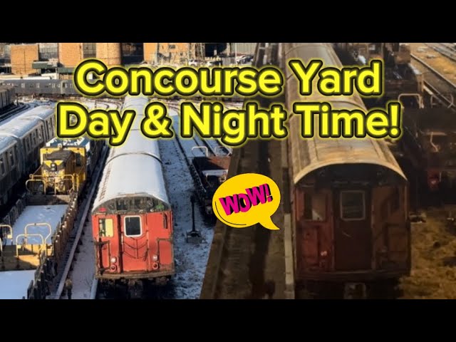 Witness Concourse Yard in Two Worlds: Day and Night