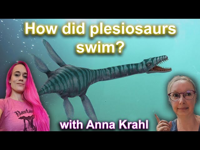 How plesiosaurs flew under water