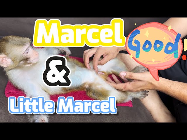 Marcel and little marcel 😍😍😜😜 #asmr #cute #mukbang #baby #love #beautiful