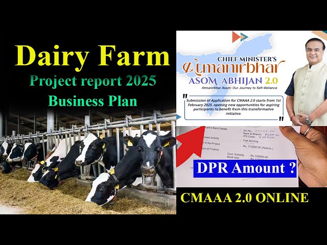 Dairy farm project report & business plan | atmanirbhar assam scheme apply online 2025