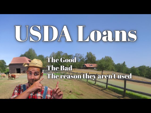 Why No One is Using USDA Loans: Explained