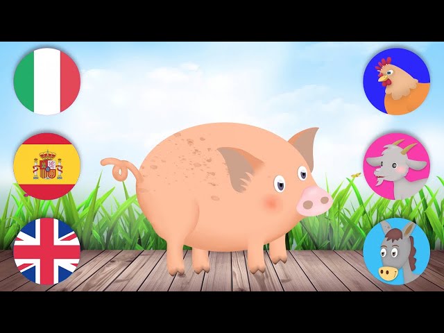 GUESS the animals in the farm - 🇮🇹 Italian 🇬🇧 English 🇪🇸 Spanish with Lucilla, Daisy and Luli