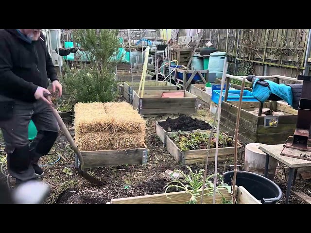 Setting out the raised beds and building #strawbalegarden and something I’ve not done in 1 years????