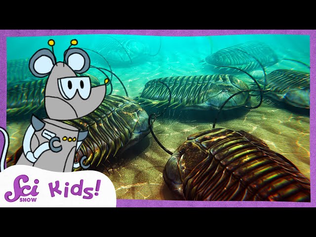 Mysterious Trilobites! | The History of Life! | SciShow Kids