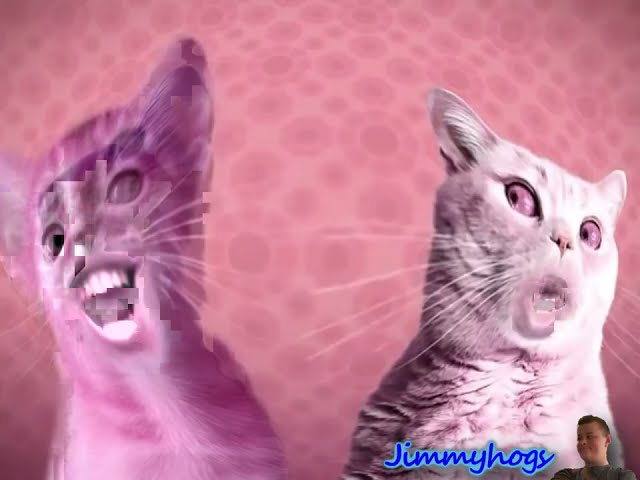 Preview 2 Numa Cat Effects 3