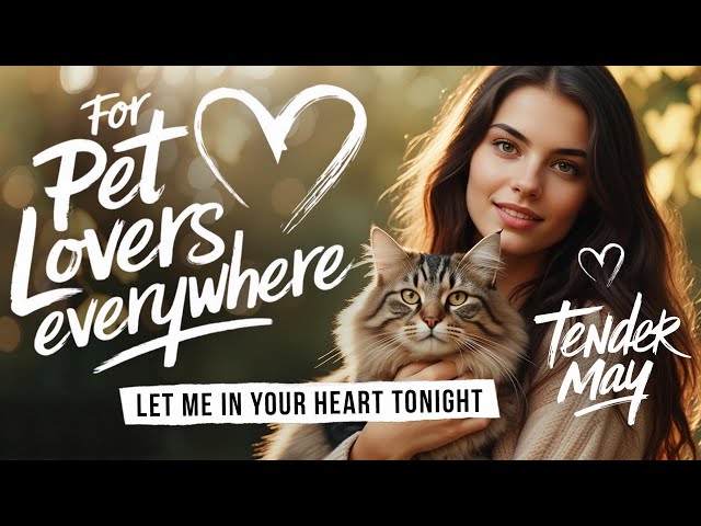 LIve Stream.❤️❤️ For Pet Lovers Everywhere. Let Me In Your Heart Tonight - Tender May!❤️❤️