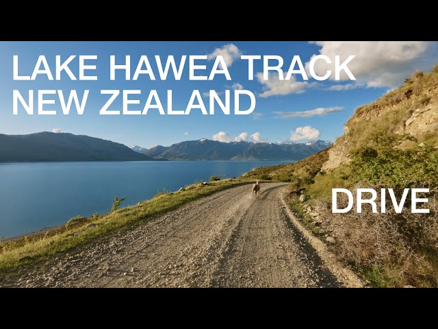 4x4 drive along Lake Hawea track, South Island, New Zealand