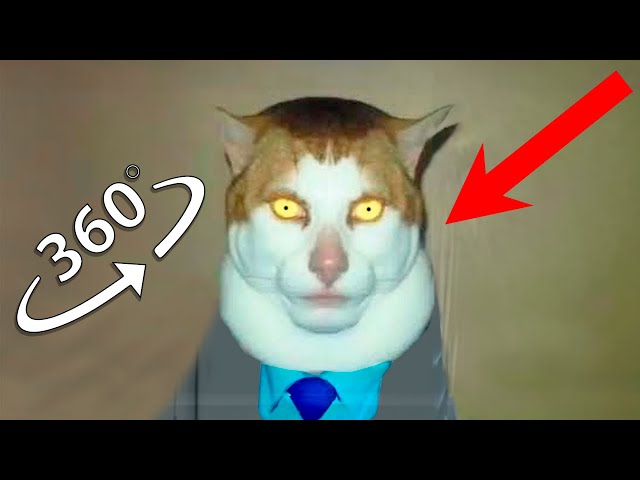 The Monday Left Me Broken Cat Finding Challenge 360º VR Video