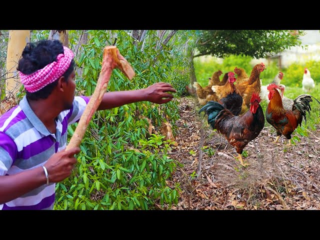 Tasty Lot's Of Full Chicken Gravy | Chicken Gravy | Village Cooks