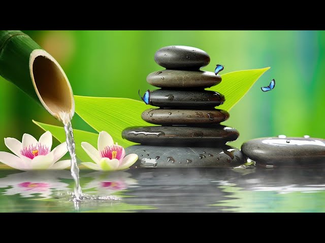 Relaxing Water Flow with Soft Melodies | Water and Calming Tunes