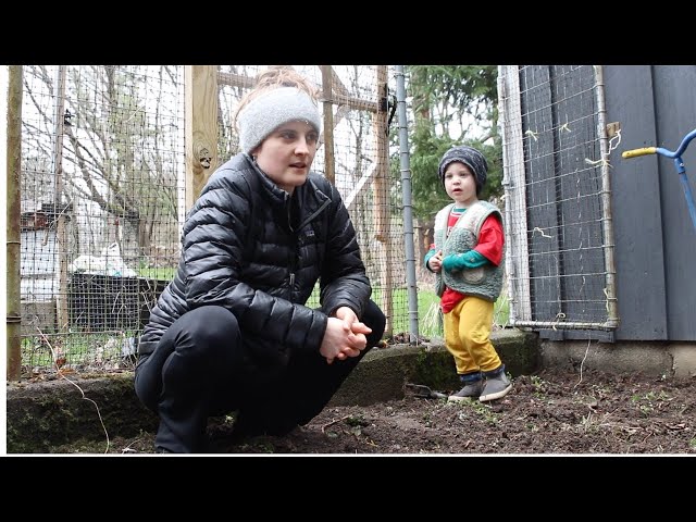 $700+ Organic Produce Yield Last Year || Preparing for this Years Garden