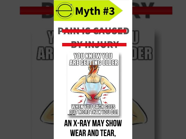 Back Pain Myth #3 An Injury Causes Your Back Pain Yes or No?! #shorts #youtubeshorts #shortsfeed