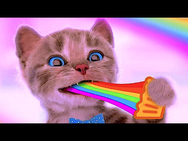 CUTE KITTEN PRESCHOOL - CARTOON ANIMATION EDUCATION CUTE KITTY FOR CHILDREN & TODDLERS