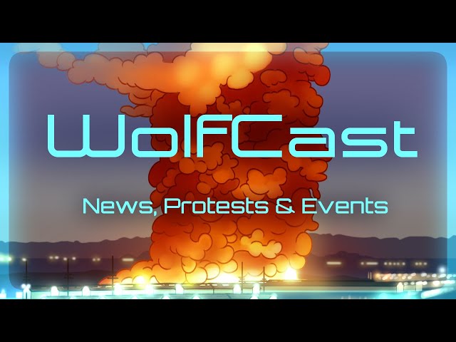 Wolf Cast -Trump Inauguration! Multiple cameras!