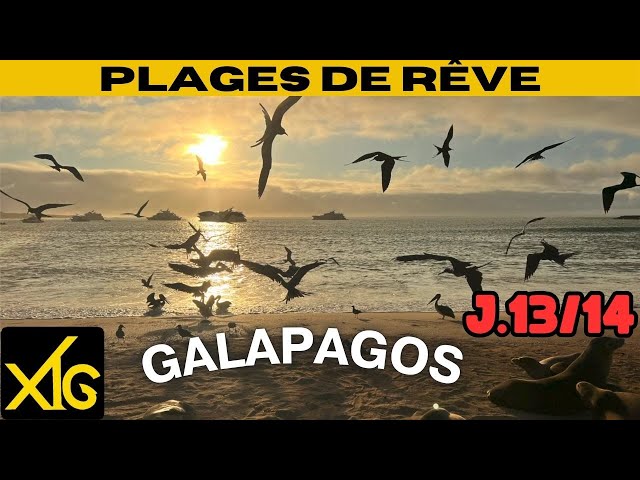 639 j13/14 Share our 14 days in the Galapagos: interpretation center and beach tour