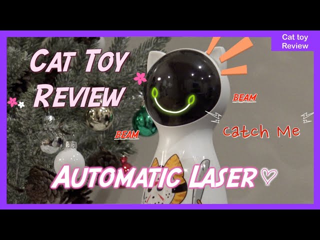 Automatic Laser Cat Toy Review by Korat Cat