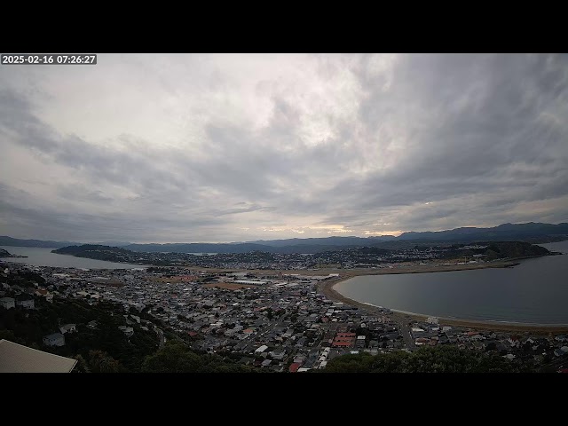 Lyall Bay, Wellington, New Zealand - Live Stream