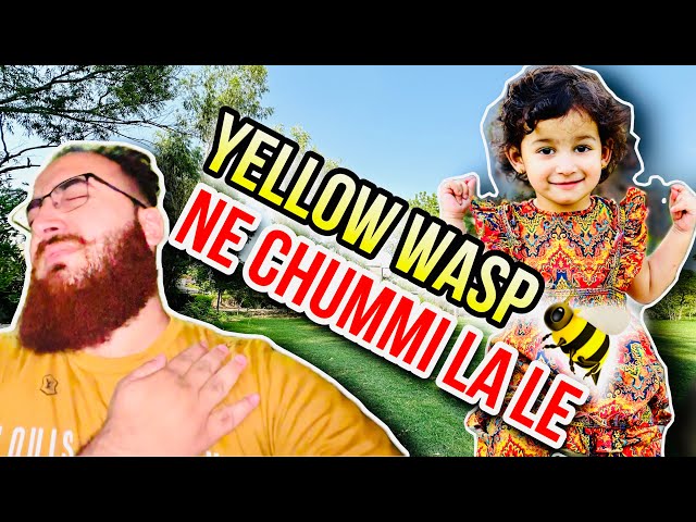 My Painful Encounter with a Yellow Wasp! 🐝😓 || Relaxing Stroll with Ayesha in the Park ❤️ #myvlog