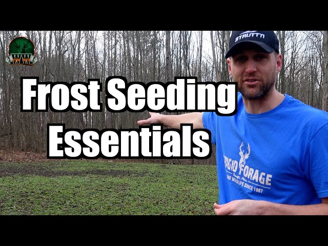 Secrets to Successful Frost Seeding: Transforming Your Food Plots!