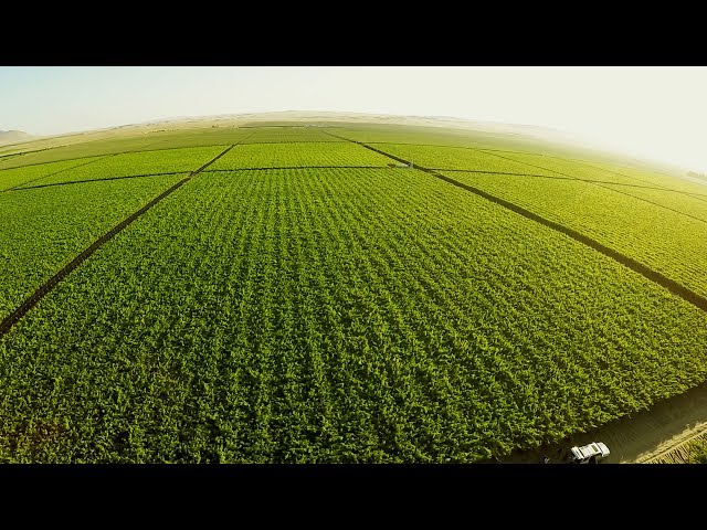 Agricultura de Presición  en Argentina - TvAgro por Juan Gonzalo Angel