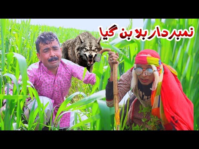 NumberDaar Bala Ban Gya|Funny Video 2024|Dadi420|Helmet|Rockit|Saraiki Comedy Darama|Punjabi