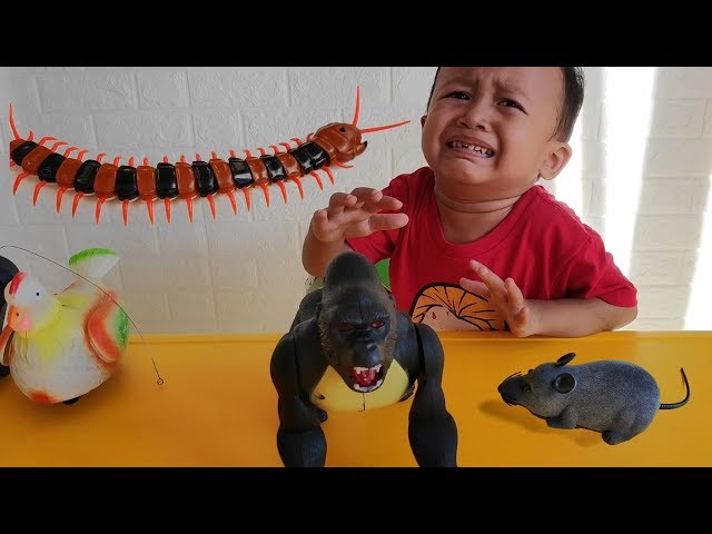 Mainan Gorilla, Tikus, Ayam Betina & Kelabang - Yahh Gavin Nangis Lagi...