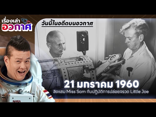 วันนี้ในอดีตบนอวกาศ | 21 ม.ค. 1960 : Miss Sam ลิงแสมที่ขึ้นไปปฏิบัติการปล่อยตัวจรวด Little Joe