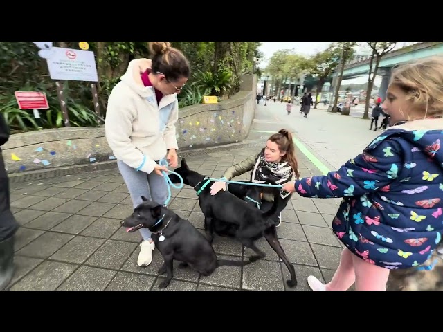 Mary’s Doggies - Yuto with children