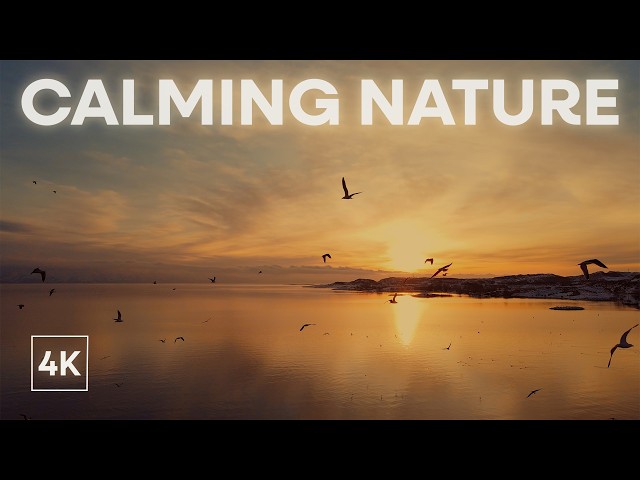 Calming Nature 4K | 2 hours handpan music | Malte Marten & Changeofcolours