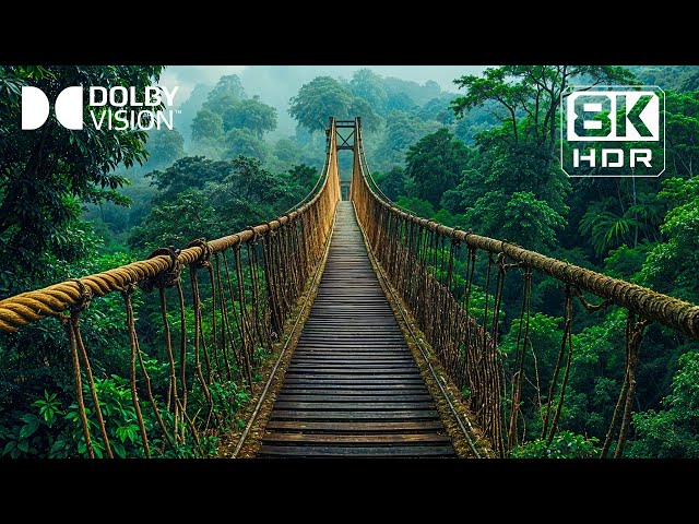 8K Video Ultra HD | 999 Most Beautiful Places in Dolby Vision HDR 60fps