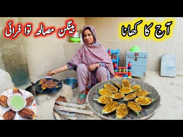 Aaj Ka Khana || Baingan Masala Tawa Fry 🍆 Recipe || Village Life || Ayra Village