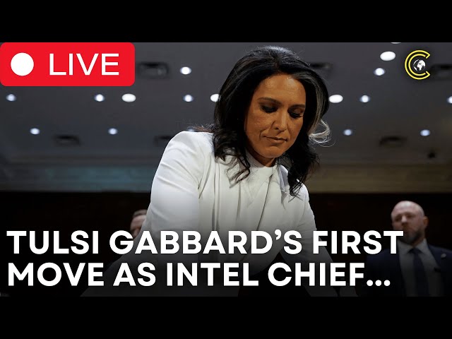 LIVE | Tulsi Reveals What Her First Step Would Be as the Intel Chief After Confirmation