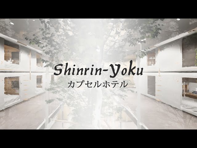 HÔTEL SHINIRIN-YOKU - Animation 3D (SketchUp 2020 & Lumion 10)