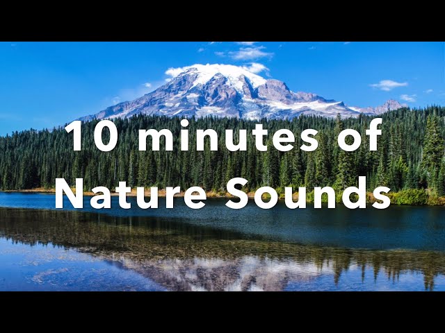 Morning Meditation | Relaxing Nature Sounds for 10 Minutes