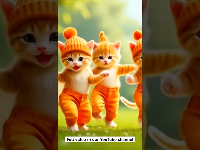 Kitten funny dance 💃❤️😻 #shorts #viralcat #catvideos #catshorts