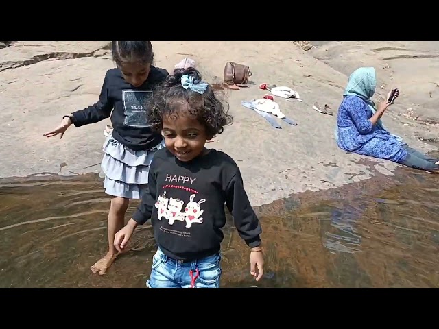 Thushaaragiri waterfall,kozhikode|thanni muthashi|muthashi maram|wayanad churam|