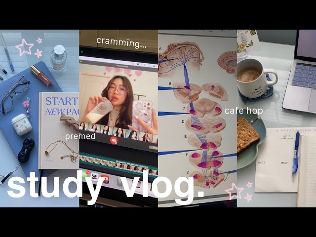 24 HOUR STUDY VLOG ⋆˚꩜｡ intense cramming, tips for long focus sessions, library & cafe hop 👩🏻‍💻☕️