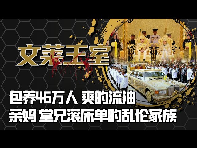 【顶级果趴】东南亚王室的销金窟！亲妈、公公、堂兄乱一床，长公主疯狂吞咽，亲王叔叔黄金怪癖，养46万果女后宫，全球最有钱王室玩这么嗨？