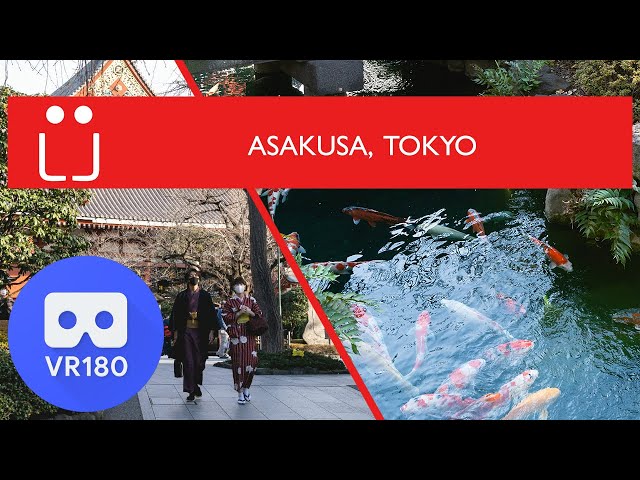 VR 180 (3D): Asakusa, Tokyo