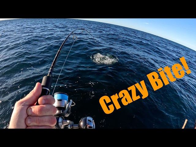 3 Different ways of FISHING to get those CRAZY Bites