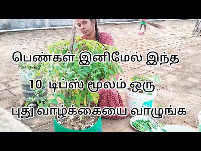 Personal development ideas for women in Tamil/Women Personality/Life style video@RamyaVlogs_Tips