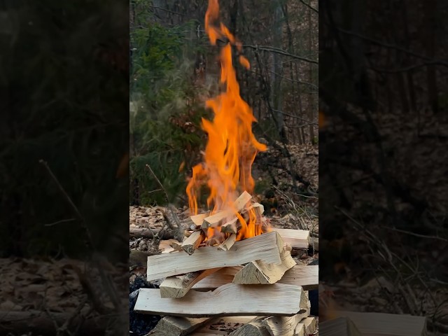 UpSide Down Fire, Forest Camping & Cooking on Gas Stove #campingcooking #forestcooking #campfire